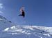 BILD0003