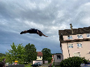 IMG-20240713-WA0030